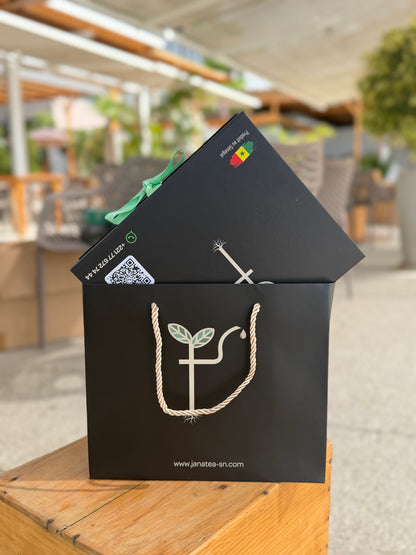 Coffret Teral Plus