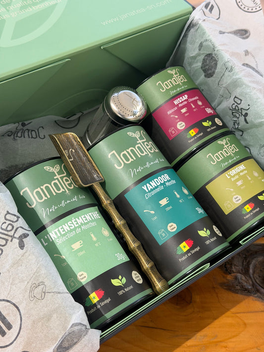 Coffret Teral Plus