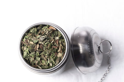 INFUSEUR GM